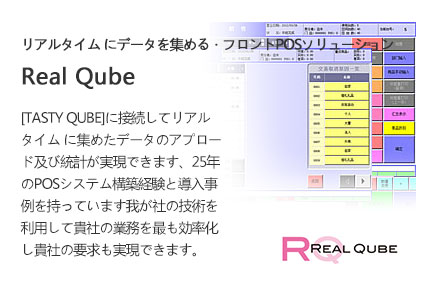 REAL QUBE